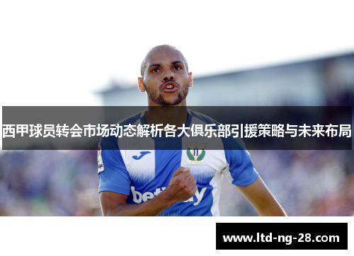 西甲球员转会市场动态解析各大俱乐部引援策略与未来布局