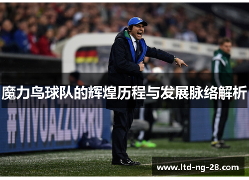 魔力鸟球队的辉煌历程与发展脉络解析