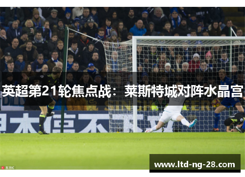 英超第21轮焦点战:莱斯特城对阵水晶宫 英超第21轮焦点战:莱斯特城对阵水晶宫