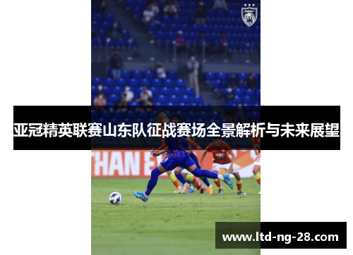 亚冠精英联赛山东队征战赛场全景解析与未来展望