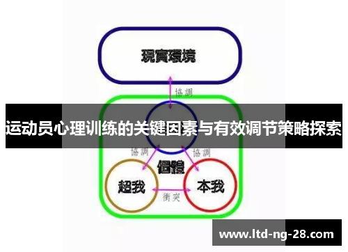 运动员心理训练的关键因素与有效调节策略探索